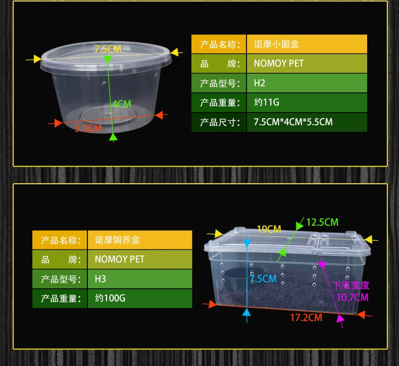 Clear Breeding Box Insect Spider Feeding Case Small Size PP Plastic Reptile Box for Lizard Snake